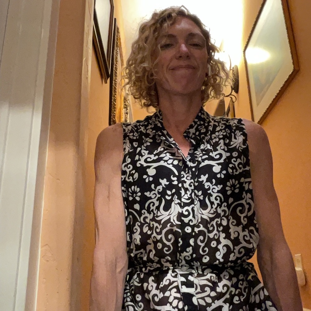 SALONI ANYTIME MINI DRESS! NWOT! - Picture 3 of 10